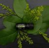 Картинка Эфирное масло dōTERRA Чайное дерево, Tea Tree, 5 мл от магазина dōTERRA