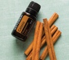 Картинка Эфирное масло dōTERRA Кассия, Cassia, 15 мл от магазина dōTERRA