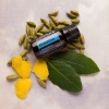 Картинка «Бриз» респираторная смесь эфирных масел, doTERRA Breathe, 15 мл от магазина dōTERRA