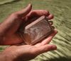 Картинка Увлажняющее кусковое мыло «Шинрин-Ёку» dōTERRA, 113 г от магазина dōTERRA
