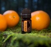 Картинка Эфирное масло dōTERRA Дикий апельсин, Wild Orange, 5 мл от магазина dōTERRA