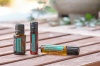 Картинка «СуперМинт» смесь эфирных масел мяты, dōTERRA SuperMint Touch, роллер 10 мл от магазина dōTERRA