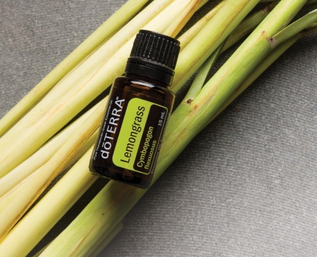 Картинка Эфирное масло doTERRA Лемонграсс, Lemongrass, 15 мл от магазина dōTERRA