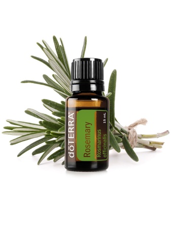 Картинка Эфирное масло doTERRA Розмарин, Rosemary, 15 мл от магазина dōTERRA