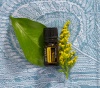 Картинка Эфирное масло dōTERRA Бессмертник, Helichrysum, 5 мл от магазина dōTERRA