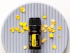 Картинка «Радость» смесь эфирных масел для поднятия настроения, doTERRA Cheer, 5 мл от магазина dōTERRA