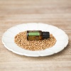 Картинка Эфирное масло dōTERRA Кориандр, Coriander, 15 мл от магазина dōTERRA