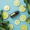 Картинка Эфирное масло dōTERRA Лайм, Lime, 15 мл от магазина dōTERRA