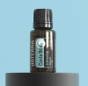 Картинка «Коста Брио» бодрящая смесь эфирных масел, doTERRA Costa Brio, 15 мл от магазина dōTERRA