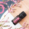 Картинка «Страсть» вдохновляющая смесь эфирных масел, dōTERRA Passion, 5 мл от магазина dōTERRA
