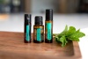 Картинка «СуперМинт» смесь эфирных масел мяты, dōTERRA SuperMint, 15 мл от магазина dōTERRA
