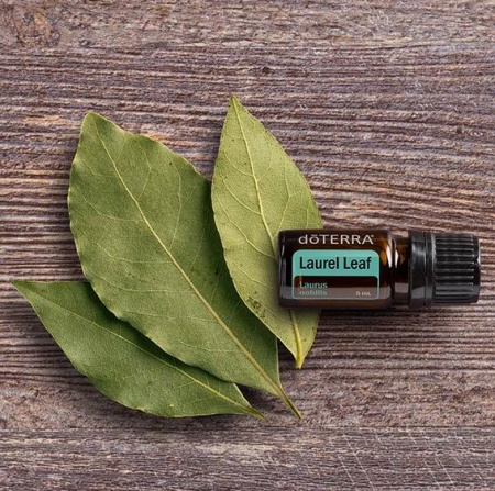 Картинка Эфирное масло doTERRA Лавровый лист, Laurel Leaf, 5 мл от магазина dōTERRA