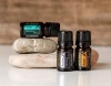 Картинка Набор эфирных масел для йоги doTERRA, 3x5 мл от магазина dōTERRA