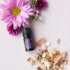Картинка «Утешение» успокаивающая смесь эфирных масел, doTERRA Console Comforting Blend, 5 мл от магазина dōTERRA