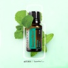 Картинка «СуперМинт» смесь эфирных масел мяты, dōTERRA SuperMint, 15 мл от магазина dōTERRA