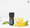 Картинка «Дип Блю» успокаивающая смесь эфирных масел для массажа, doTERRA Deep Blue, 5 мл от магазина dōTERRA