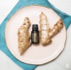 Картинка Эфирное масло dōTERRA Имбирь, Ginger, 15 мл от магазина dōTERRA