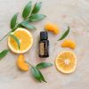 Картинка Эфирное масло dōTERRA Мандарин, Tangerine, 15 мл от магазина dōTERRA