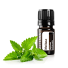 Картинка Эфирное масло dōTERRA Мелисса, Melissa, 5 мл от магазина dōTERRA