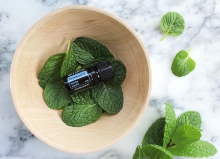 Картинка Эфирное масло doTERRA Мята перечная, Peppermint, 5 мл от магазина dōTERRA