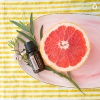 Картинка Эфирное масло dōTERRA Грейпфрут, Grapefruit, 15 мл от магазина dōTERRA