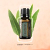Картинка Смесь эфирных масел dōTERRA Эвкалипт (из 5-ти уникальных видов), Eucalyptus, 15 мл от магазина dōTERRA