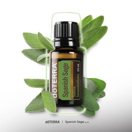 Картинка Эфирное масло doTERRA Испанский шалфей, Spanish Sage, 15 мл от магазина dōTERRA