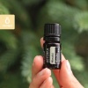 Картинка Эфирное масло dōTERRA Хиноки, Hinoki, 5 мл от магазина dōTERRA