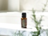 Картинка Смесь эфирных масел dōTERRA Эвкалипт (из 5-ти уникальных видов), Eucalyptus, 15 мл от магазина dōTERRA