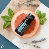 Картинка «АТТ» смесь эфирных масел для массажа, doTERRA Ароматач ATT, 15 мл от магазина dōTERRA