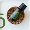 Картинка Эфирное масло dōTERRA Кориандр, Coriander, 15 мл от магазина dōTERRA