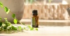 Картинка «Шинрин-Ёку» смесь эфирных масел, doTERRA Shinrin-Yoku (купание в лесу), 15 мл от магазина dōTERRA