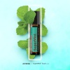 Картинка «СуперМинт» смесь эфирных масел мяты, dōTERRA SuperMint Touch, роллер 10 мл от магазина dōTERRA