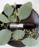 Картинка dōTERRA Touch Jasmine, Жасмин, роллер 10 мл от магазина dōTERRA