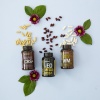 Картинка Набор «Долгожитель» dōTERRA Lifelong Vitality Pack, 3x120 капсул от магазина dōTERRA