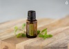 Картинка Эфирное масло dōTERRA Майоран, Marjoram, 15 мл от магазина dōTERRA