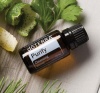 Картинка «Пьюрифай» очищающая смесь эфирных масел, doTERRA Purify, 15 мл от магазина dōTERRA