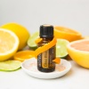 Картинка «Цитрус Блисс» тонизирующая смесь, doTERRA Citrus Bliss, 15 мл от магазина dōTERRA