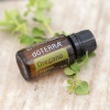 Картинка Эфирное масло dōTERRA Орегано, Oregano, 15 мл от магазина dōTERRA