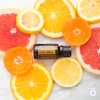 Картинка «Цитрус Блисс» тонизирующая смесь, doTERRA Citrus Bliss, 15 мл от магазина dōTERRA