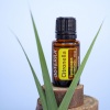 Картинка Эфирное масло dōTERRA Цитронелла, Citronella, 15 мл от магазина dōTERRA