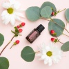 Картинка Эфирное масло dōTERRA Герань, Geranium, 15 мл от магазина dōTERRA