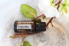 Картинка Эфирное масло dōTERRA Копайба, Copaiba, 15 мл от магазина dōTERRA