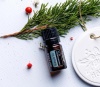Картинка Эфирное масло dōTERRA Бальзамическая пихта, Balsam Fir, 5 мл от магазина dōTERRA
