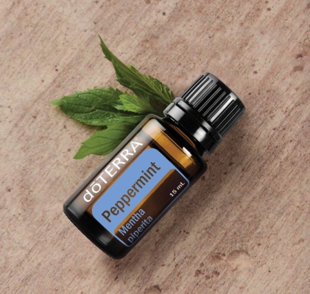 Картинка Эфирное масло doTERRA Мята перечная, Peppermint, 15 мл от магазина dōTERRA