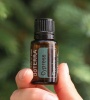 Картинка Эфирное масло dōTERRA Кипарис, Cypress, 15 мл от магазина dōTERRA