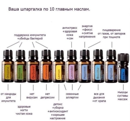 Картинка Набор эфирных масел doTERRA «Эфирный дом», 9х15 мл и 1х5 мл с диффузором и подставкой от магазина dōTERRA