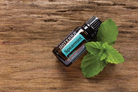 Картинка Эфирное масло doTERRA Садовая мята, Spearmint, 15 мл от магазина dōTERRA