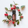 Картинка Эфирное масло dōTERRA Грушанка, Wintergreen, 15 мл от магазина dōTERRA
