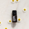 Картинка Эфирное масло dōTERRA Римская ромашка, Roman Chamomile, 5 мл от магазина dōTERRA